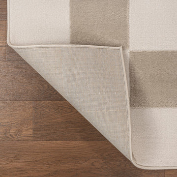 Modern Geometric Checkerboard High-Low Area Rug